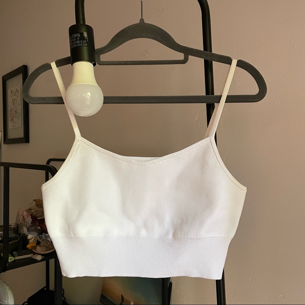Aritzia Babaton Kenneth Knit Top